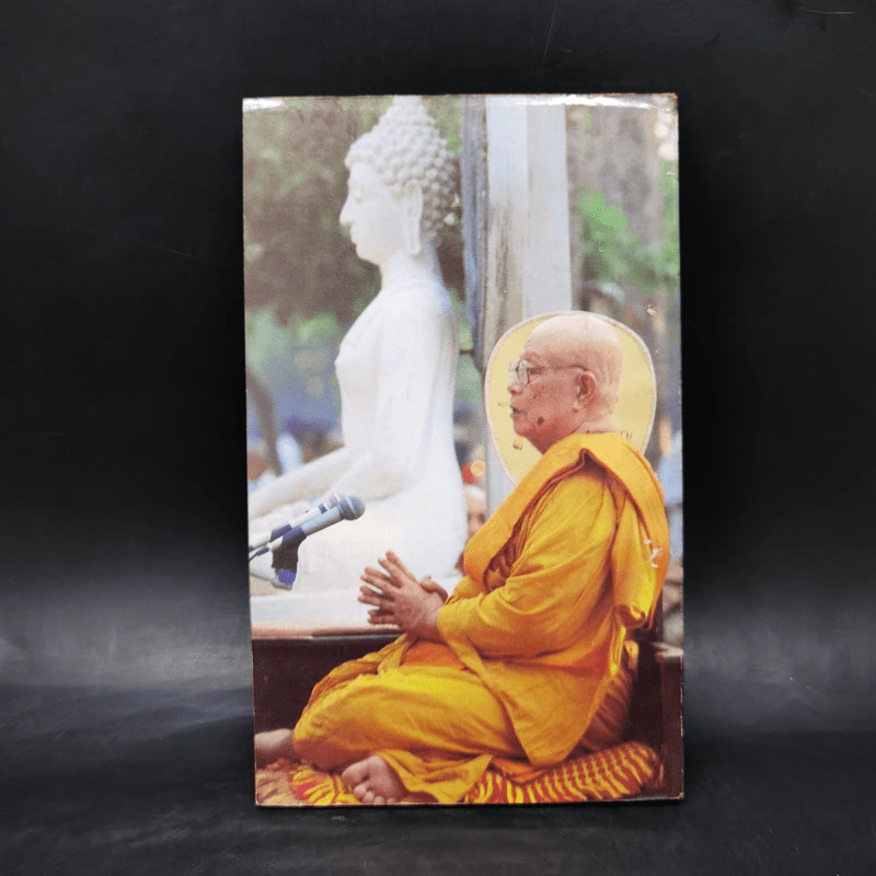 แผ่วผ่านธารน้ำไหล - เนาวรัตน์ พงษ์ไพบูลย์ รูปที่ 2