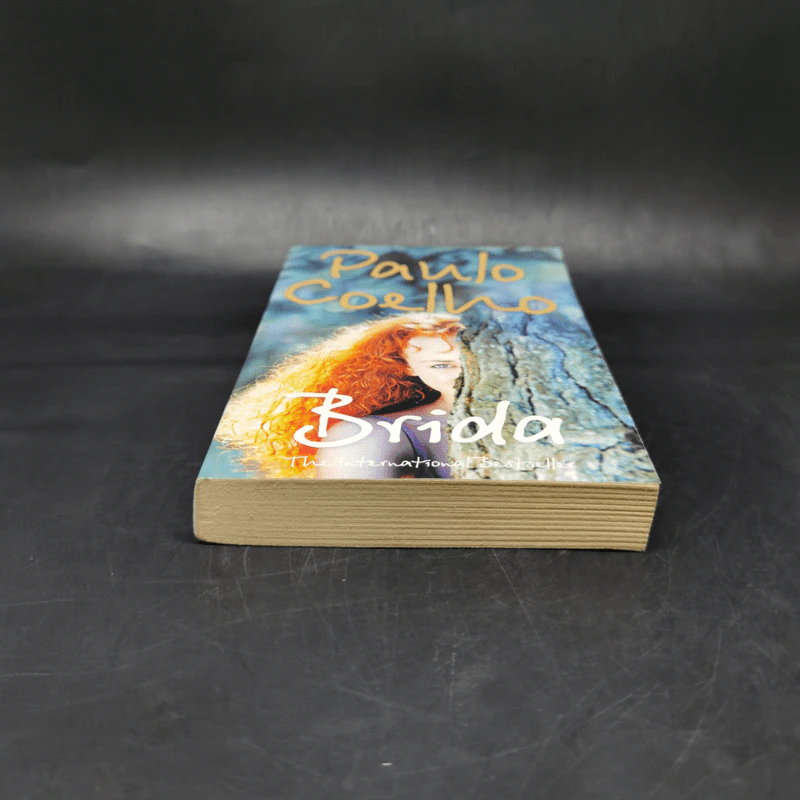 Brida - Paulo Coelho รูปที่ 4