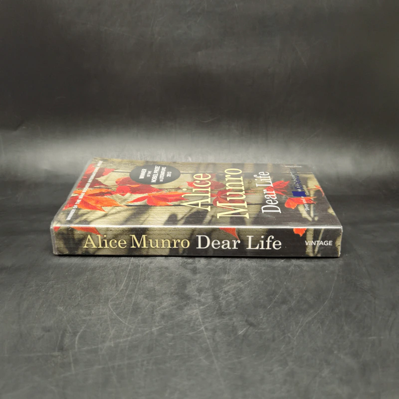 Alice Munro - Dear Life รูปที่ 3