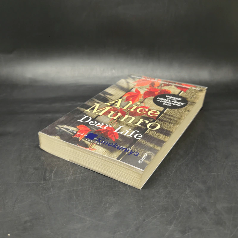 Alice Munro - Dear Life รูปที่ 7