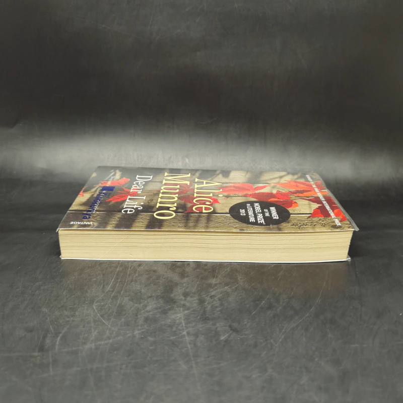 Alice Munro - Dear Life รูปที่ 5