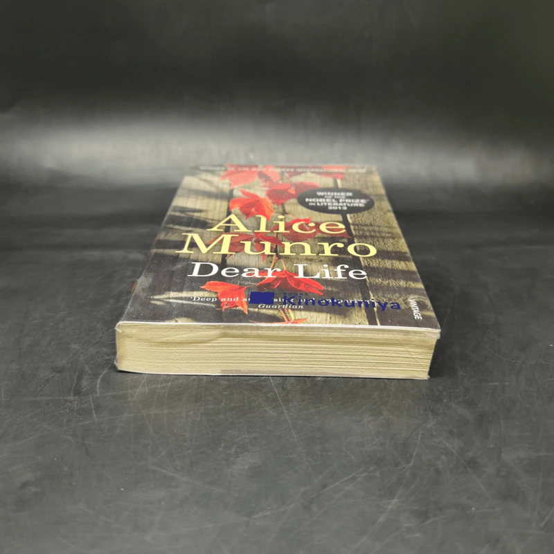 Alice Munro - Dear Life รูปที่ 4