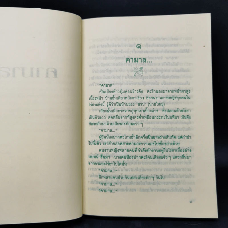 คามาล - รพีพร รูปที่ 9