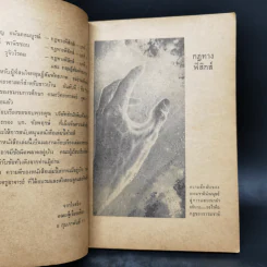 กฎทางฟิสิกส์และทฤษฎีสัมพันธภาพ รูปที่ 11