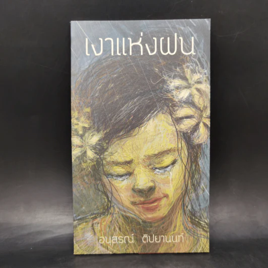 เงาแห่งฝน - อนุสรณ์ ติปยานนท์ รูปที่ 1