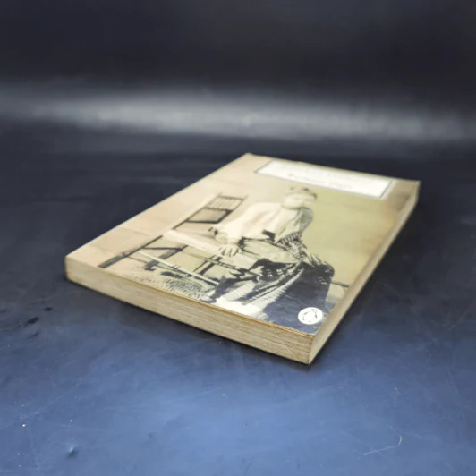 Burmese Days - George Orwell รูปที่ 7