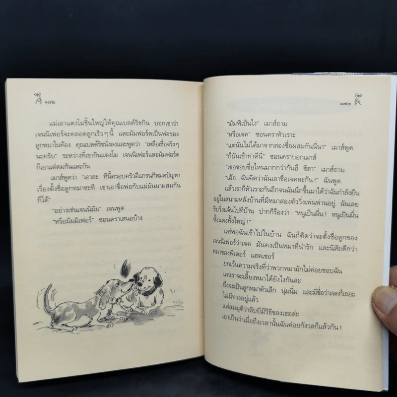 ชีลาร้ายที่สุด - จูดี้ บลูม รูปที่ 11