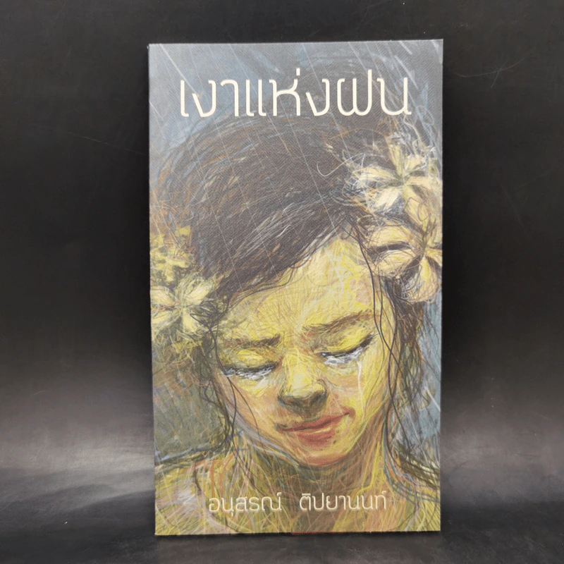 เงาแห่งฝน - อนุสรณ์ ติปยานนท์ รูปที่ 1