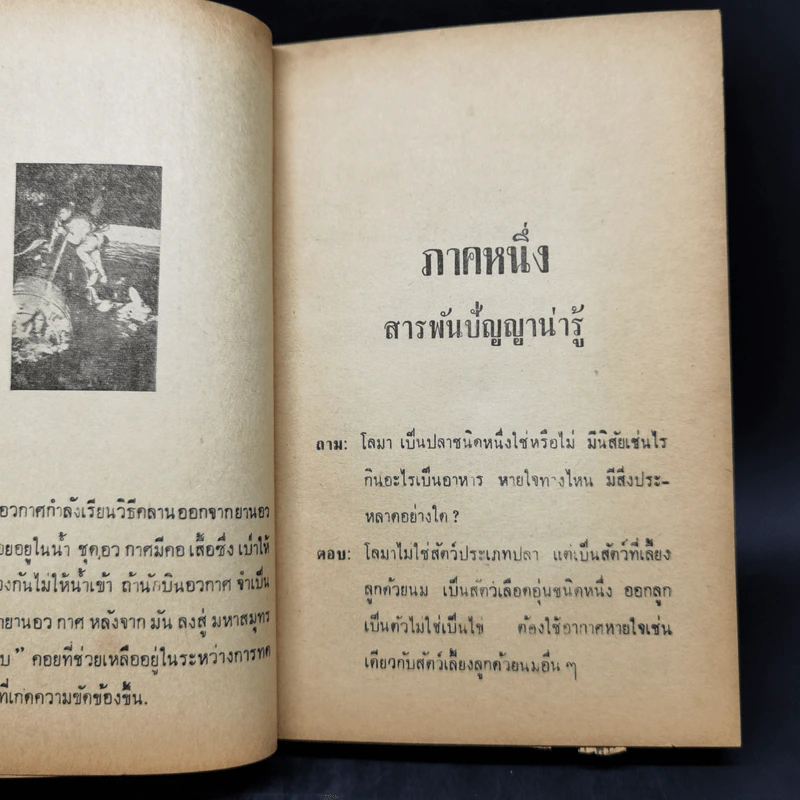 ความรู้รอบตัว ฉบับล้ำยุค - อาจารย์ชาคริตย์ พิษณุรักษ์ รูปที่ 13