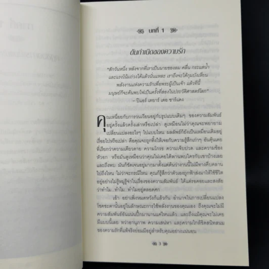 กฎแห่งการดึงดูดเพื่อดึงดูดคนรัก - แซนดร้า แอนน์ เทเลอร์ รูปที่ 12