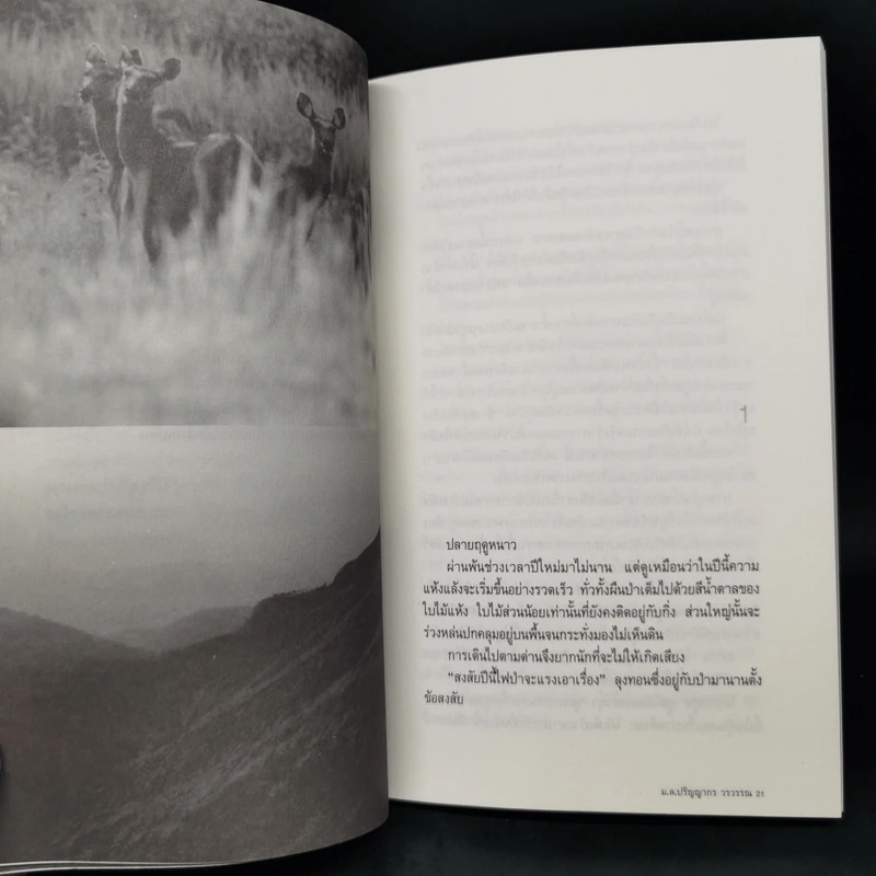 เดินบนถนนมิตรภาพ - ม.ล.ปริญญากร วรวรรณ รูปที่ 9