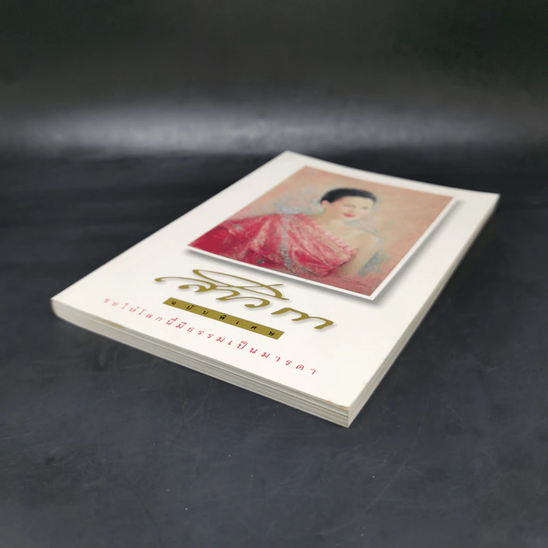 สาวิกา ฉบับพิเศษ ขอให้โลกนี้มีธรรมเป็นมารดา รูปที่ 7