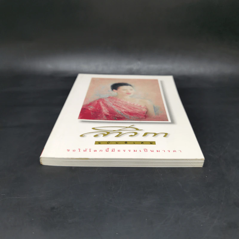 สาวิกา ฉบับพิเศษ ขอให้โลกนี้มีธรรมเป็นมารดา รูปที่ 4