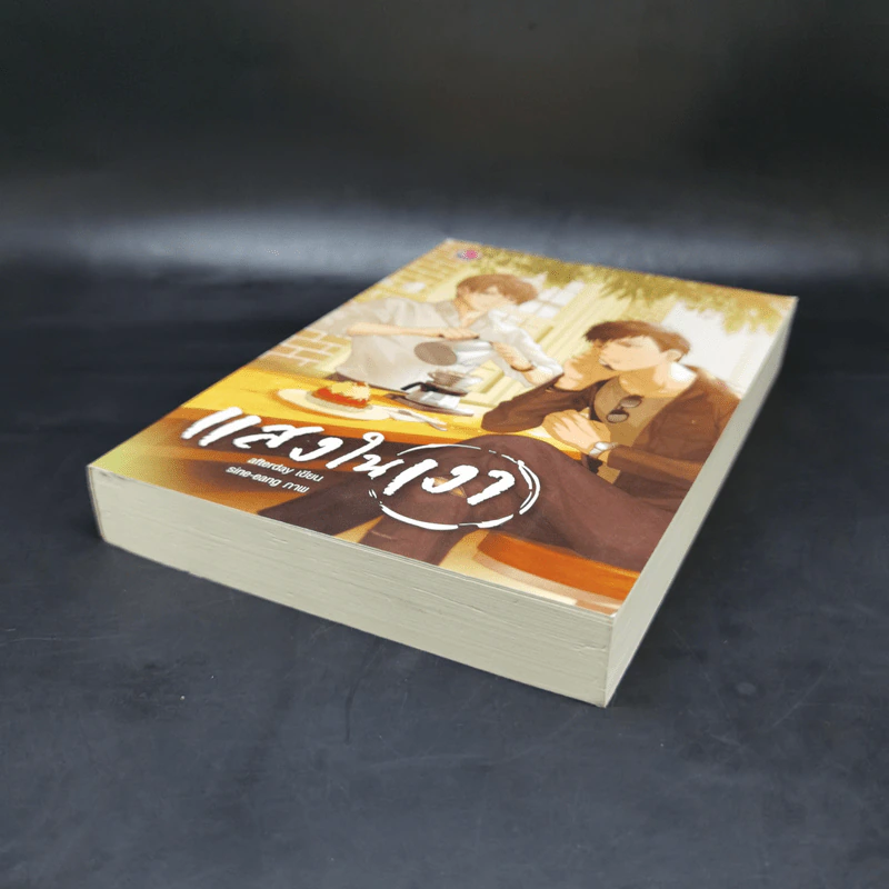 นิยายวาย แสงในเงา - Afterday รูปที่ 7