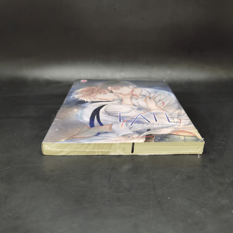 นิยายวาย Fate กาลจากลา - SUKI ZweeT*SM รูปที่ 4