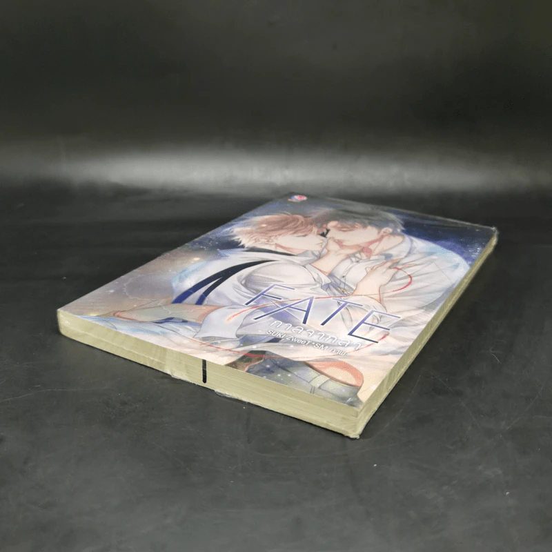 นิยายวาย Fate กาลจากลา - SUKI ZweeT*SM รูปที่ 7