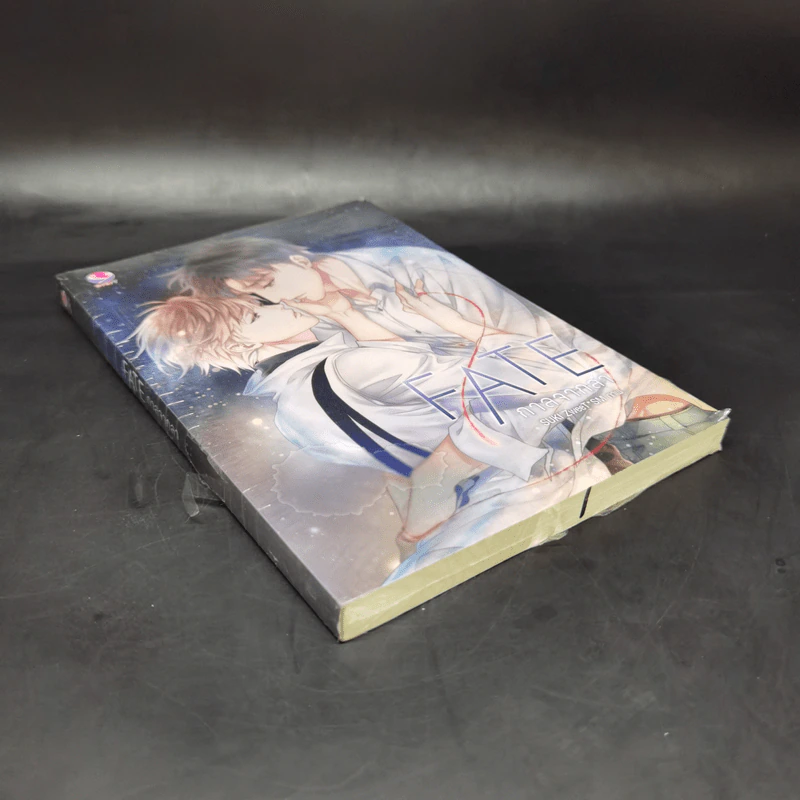 นิยายวาย Fate กาลจากลา - SUKI ZweeT*SM รูปที่ 8