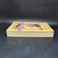 ชุด อยากให้เรื่องนี้ไม่มีโชคร้าย เล่ม 1-4 - Lemony Snicket (เลโมนี สนิกเก็ต) รูปที่ 4