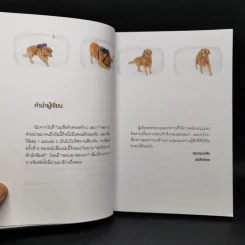 ผมชื่อคิงคองคร้าบ เล่ม 1-3 - วัสชนะ พรหมประสิทธิ์ รูปที่ 8