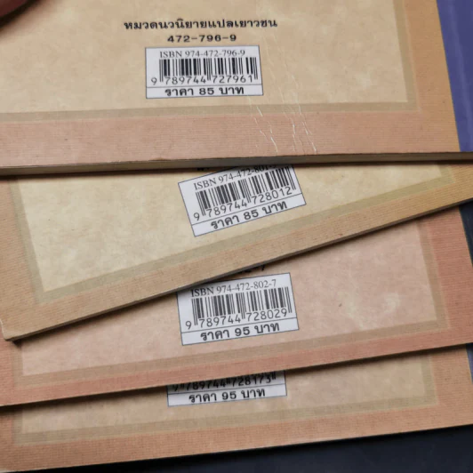 ชุด อยากให้เรื่องนี้ไม่มีโชคร้าย เล่ม 1-4 - Lemony Snicket (เลโมนี สนิกเก็ต) รูปที่ 19