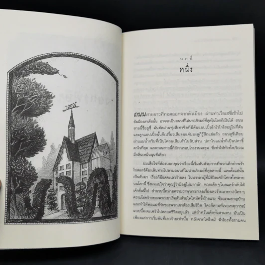ชุด อยากให้เรื่องนี้ไม่มีโชคร้าย เล่ม 1-4 - Lemony Snicket (เลโมนี สนิกเก็ต) รูปที่ 11