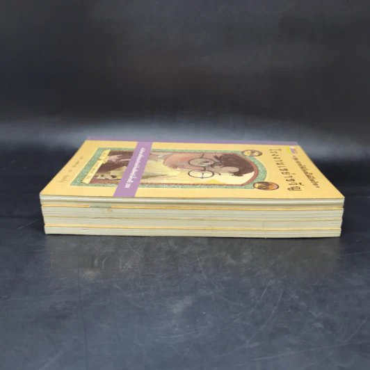 ชุด อยากให้เรื่องนี้ไม่มีโชคร้าย เล่ม 1-4 - Lemony Snicket (เลโมนี สนิกเก็ต) รูปที่ 4