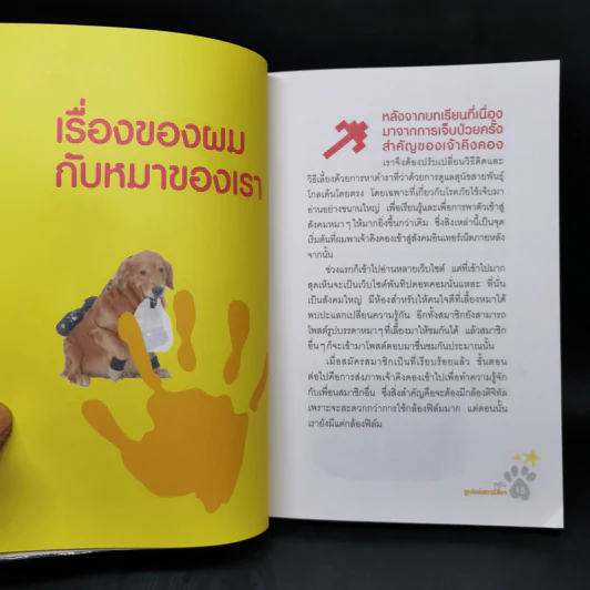 ผมชื่อคิงคองคร้าบ เล่ม 1-3 - วัสชนะ พรหมประสิทธิ์ รูปที่ 17