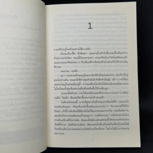 มองอย่าให้เห็น (Bird Box) - Josh Malerman รูปที่ 9