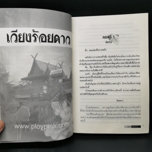เวียงร้อยดาว - บินละเว รูปที่ 9