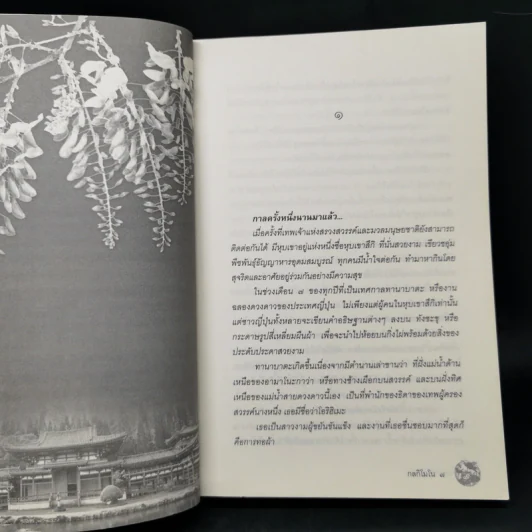 กลกิโมโน - พงศกร รูปที่ 9