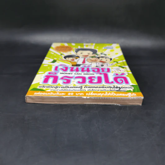 เงินน้อยก็รวยได้ Money Can Grow - TaxBugnoms รูปที่ 4