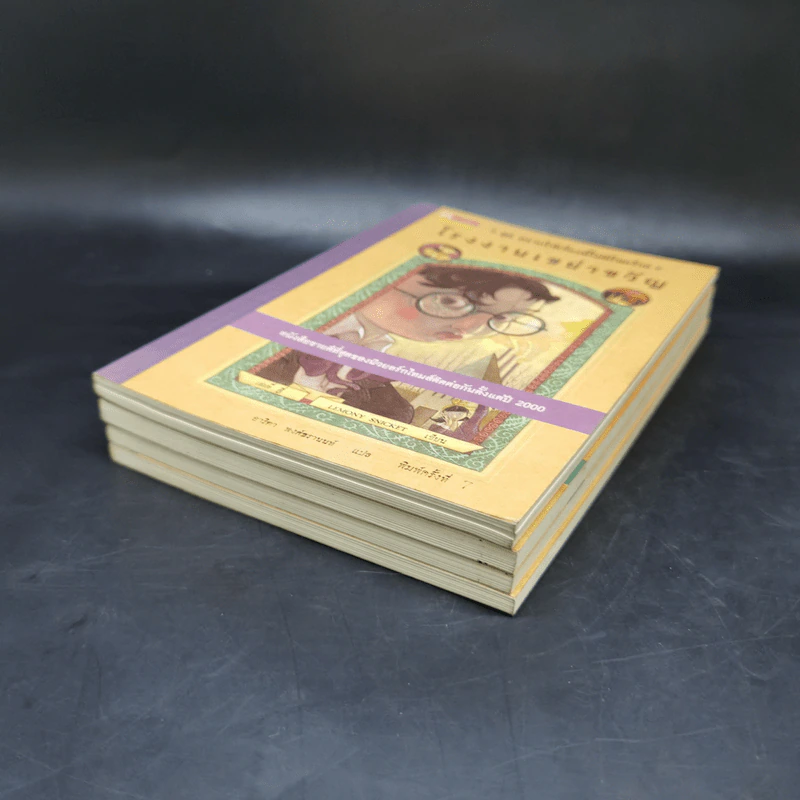 ชุด อยากให้เรื่องนี้ไม่มีโชคร้าย เล่ม 1-4 - Lemony Snicket (เลโมนี สนิกเก็ต) รูปที่ 6