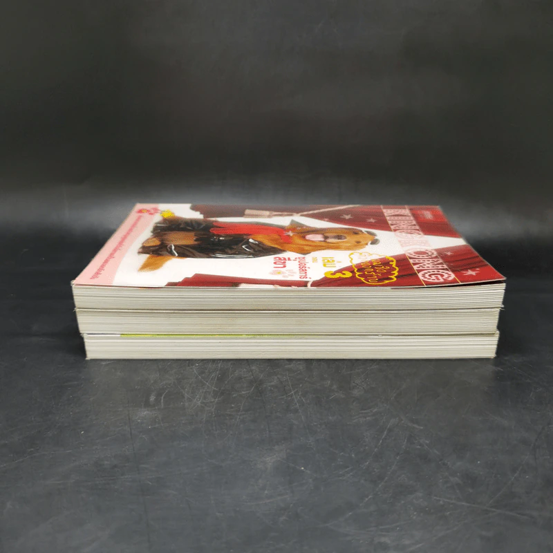 ผมชื่อคิงคองคร้าบ เล่ม 1-3 - วัสชนะ พรหมประสิทธิ์ รูปที่ 4