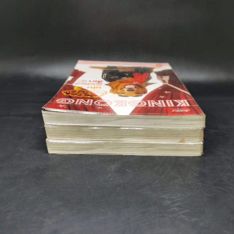 ผมชื่อคิงคองคร้าบ เล่ม 1-3 - วัสชนะ พรหมประสิทธิ์ รูปที่ 5