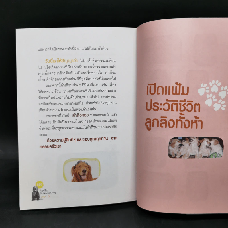 ผมชื่อคิงคองคร้าบ เล่ม 1-3 - วัสชนะ พรหมประสิทธิ์ รูปที่ 18
