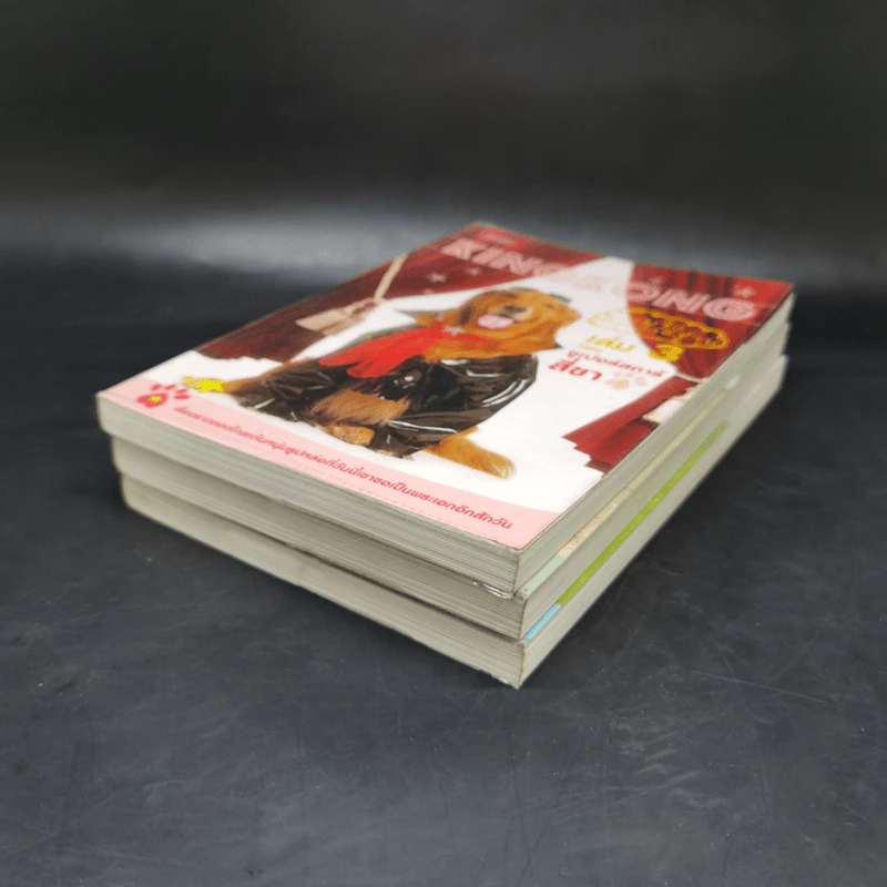 ผมชื่อคิงคองคร้าบ เล่ม 1-3 - วัสชนะ พรหมประสิทธิ์ รูปที่ 6