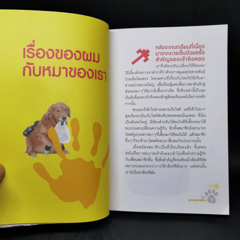 ผมชื่อคิงคองคร้าบ เล่ม 1-3 - วัสชนะ พรหมประสิทธิ์ รูปที่ 17