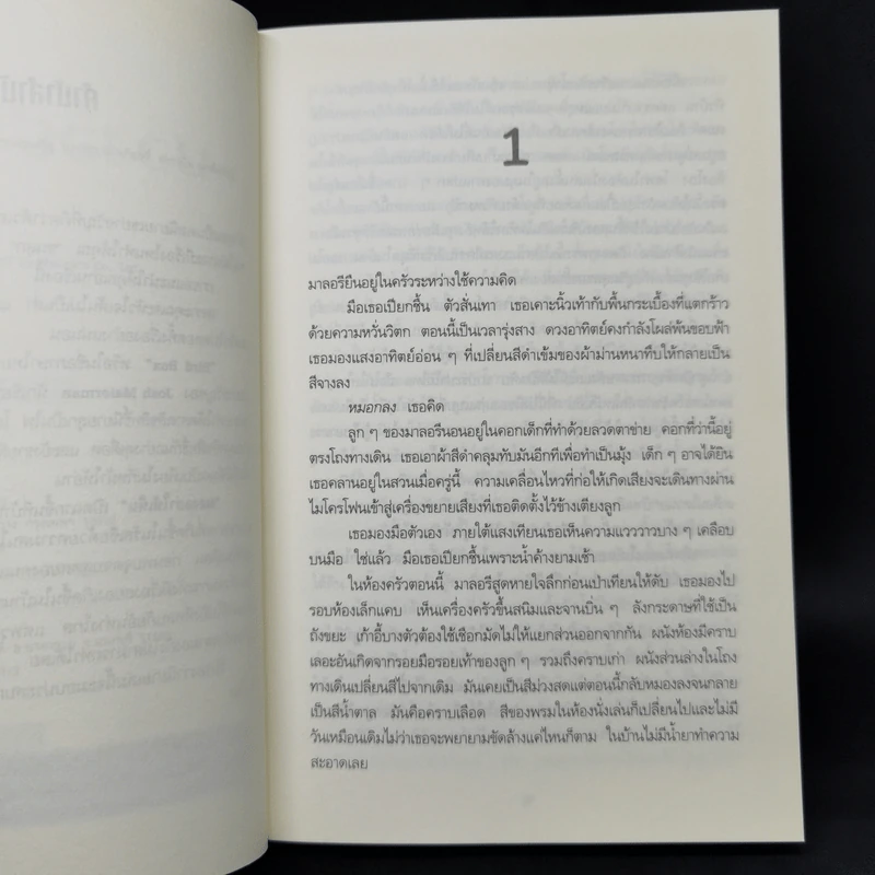 มองอย่าให้เห็น (Bird Box) - Josh Malerman รูปที่ 9