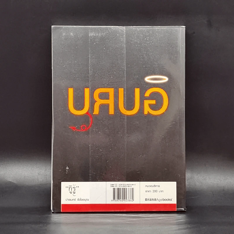 กูรู้ - ปารเมศร์ รัชไชยบุญ รูปที่ 2