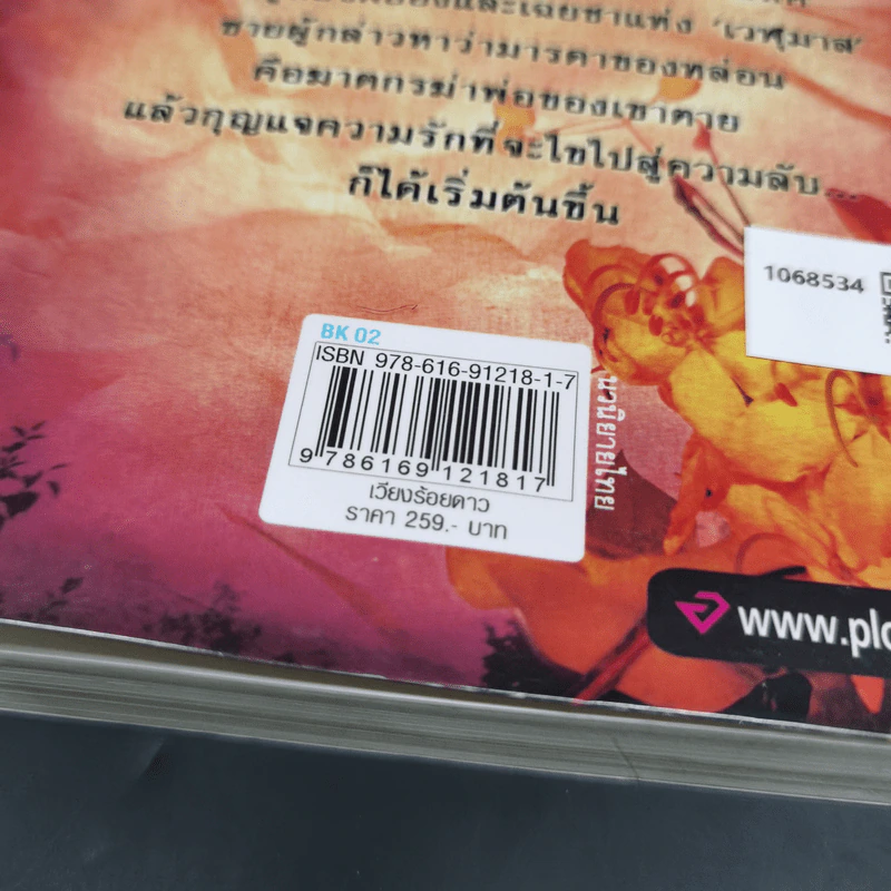 เวียงร้อยดาว - บินละเว รูปที่ 12