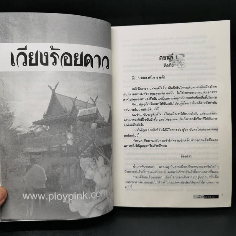 เวียงร้อยดาว - บินละเว รูปที่ 9