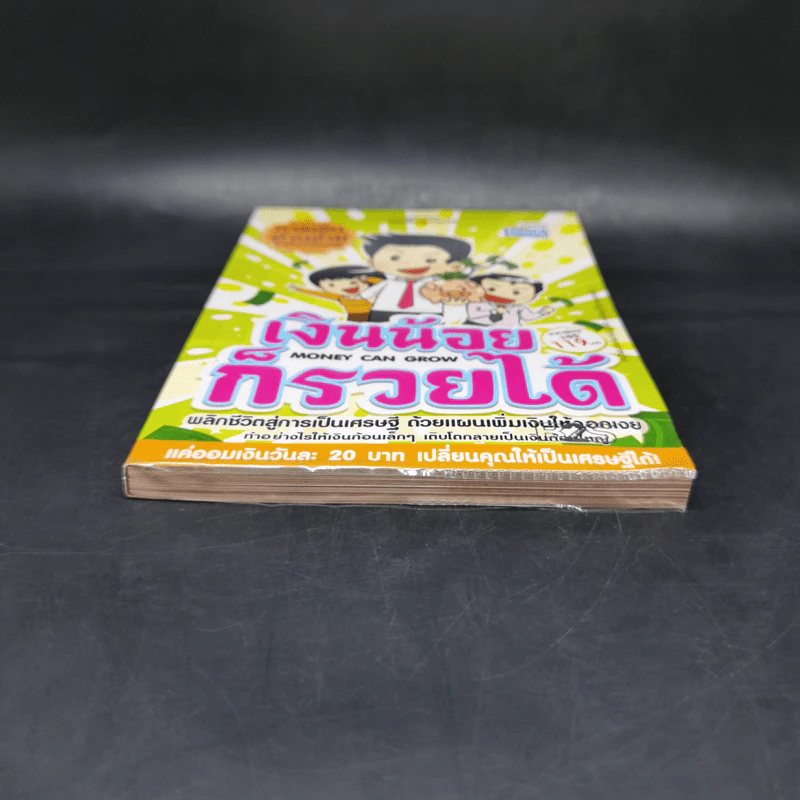 เงินน้อยก็รวยได้ Money Can Grow - TaxBugnoms รูปที่ 4