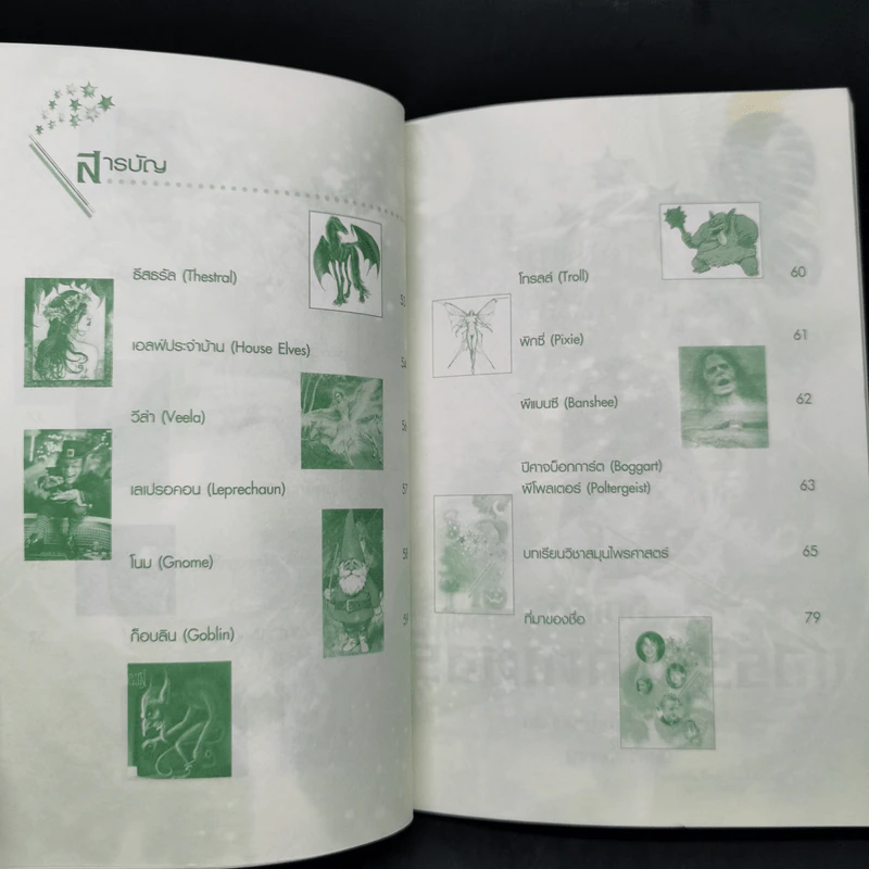 อินไซด์ แฮร์รี่ พอตเตอร์ รูปที่ 11