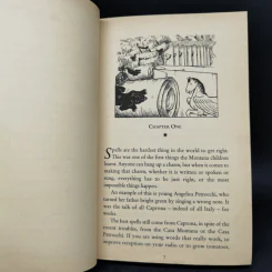 The Worlds of Chrestomanci 2 Books - Diana Wynne Jones รูปที่ 9