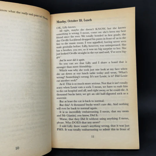The Princess Diaries 4 Books รูปที่ 10
