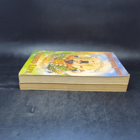 The Worlds of Chrestomanci 2 Books - Diana Wynne Jones รูปที่ 5