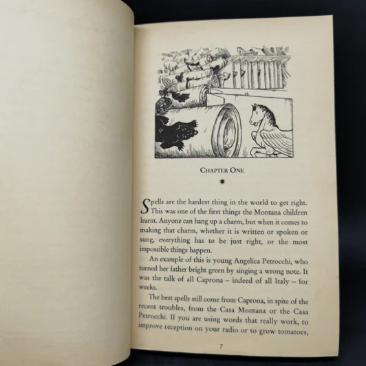 The Worlds of Chrestomanci 2 Books - Diana Wynne Jones รูปที่ 9