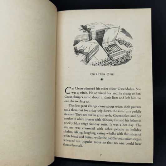 The Worlds of Chrestomanci 2 Books - Diana Wynne Jones รูปที่ 11