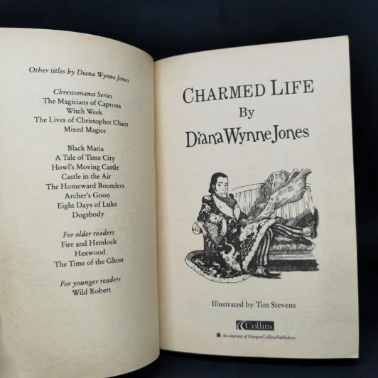 The Worlds of Chrestomanci 2 Books - Diana Wynne Jones รูปที่ 10