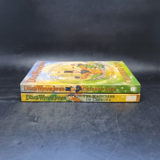 The Worlds of Chrestomanci 2 Books - Diana Wynne Jones รูปที่ 3